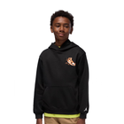 Jordan Kids Air Jordan Has Landed Hoodie 'Black'