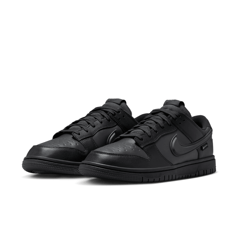 Nike Dunk Low GORE-TEX Men's Shoes 'Black/Anthracite'