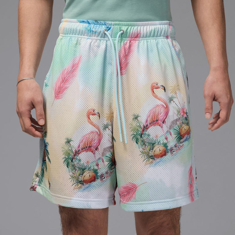 Jordan Essentials Men's Printed Mesh Shorts 'Sail/Glacier Blue'