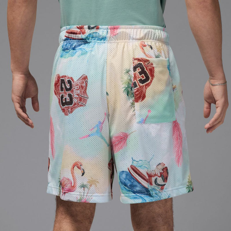 Jordan Essentials Men's Printed Mesh Shorts 'Sail/Glacier Blue'