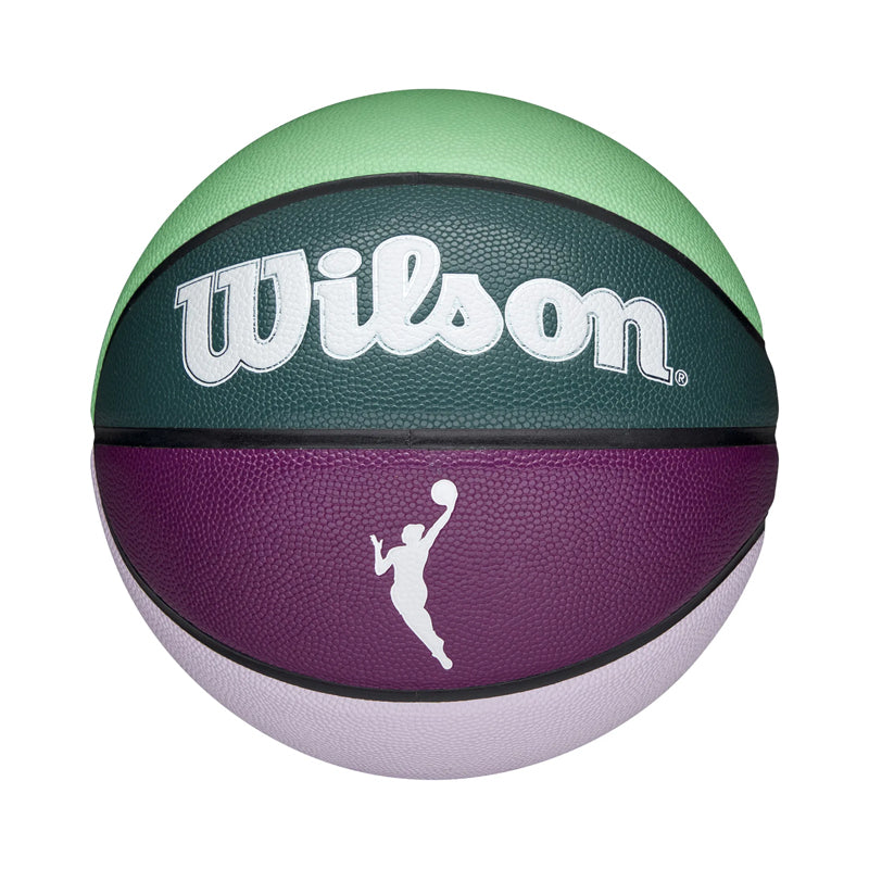 Wilson WNBA Heir Multi-Color Size 6 Basketball