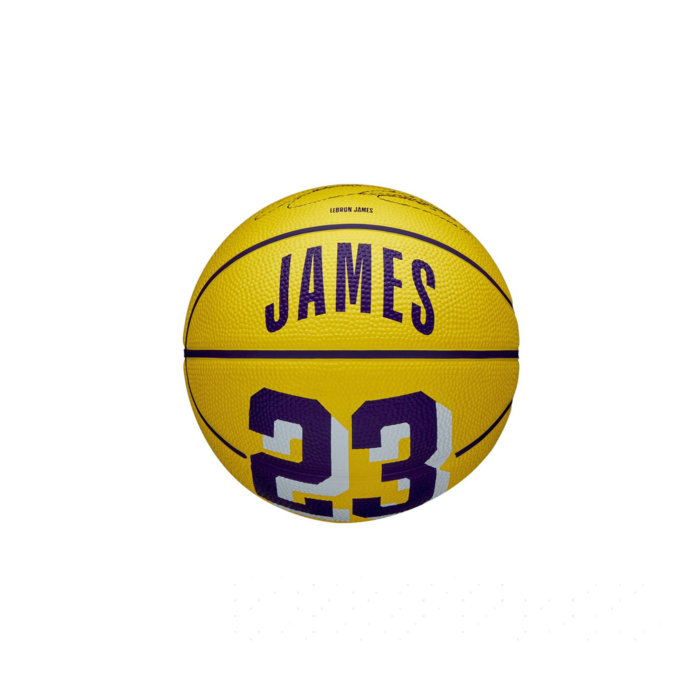 Wilson NBA Player LeBron James Icon Mini Basketball