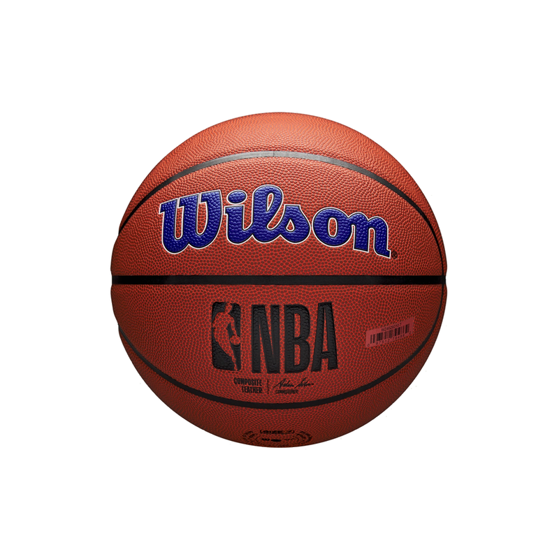 Wilson Golden State Warriors NBA Team Alliance Basketball