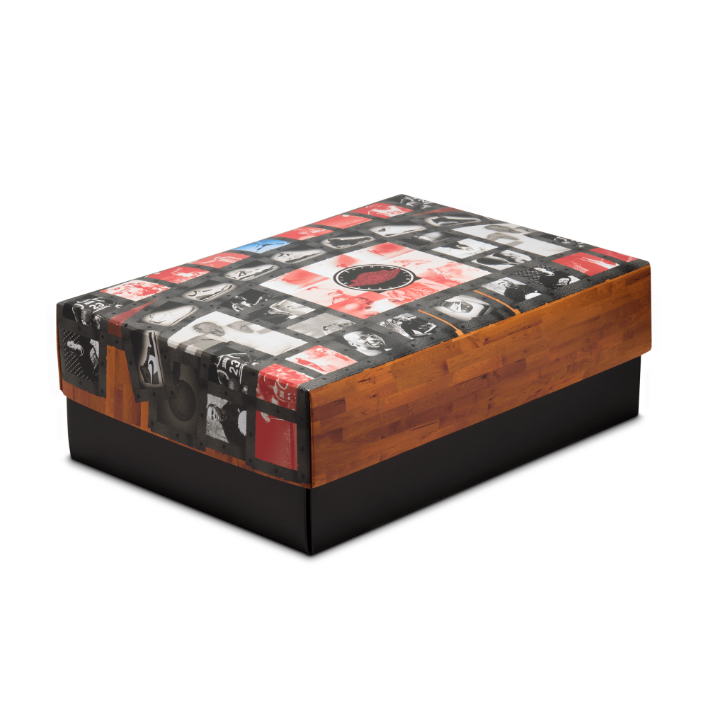 Air Jordan 10 Retro 'Shadow'