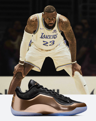 LeBron LeBron James