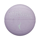 Wilson WNBA Heir Outdoor Size 6 Basketball